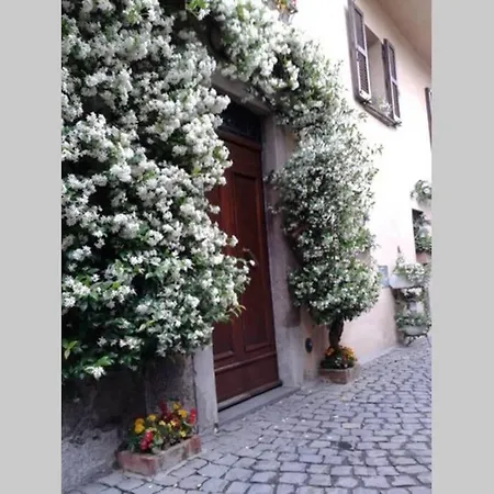 Il Gelsomino Di Isia Orvieto