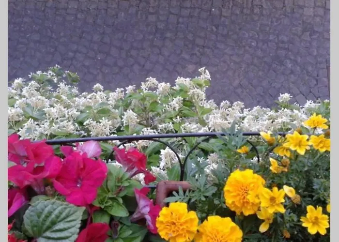 Il Gelsomino Di Isia Casa de Férias