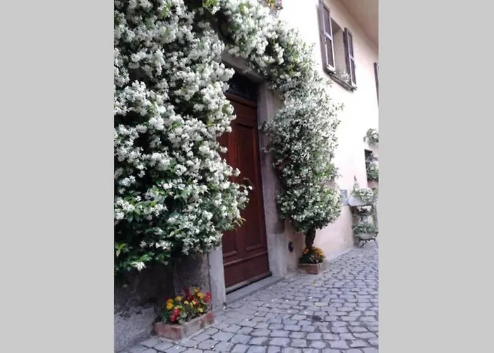 Il Gelsomino Di Isia Orvieto