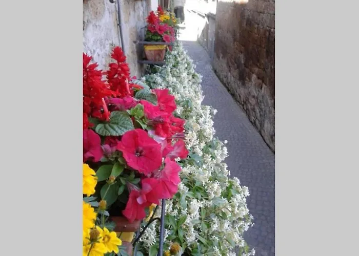 Il Gelsomino Di Isia *